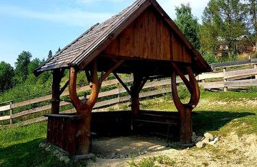 Alpakowy raj - Foto 61