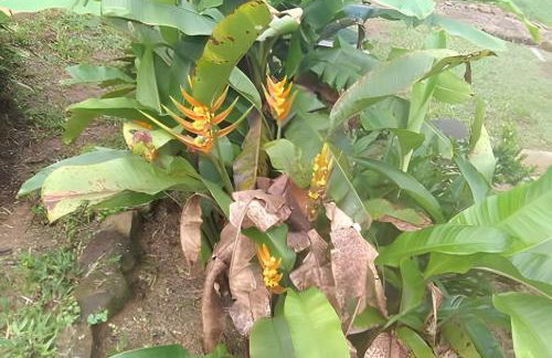 Chácara Morretes Arraial - Piscina e Rio - Photo 57