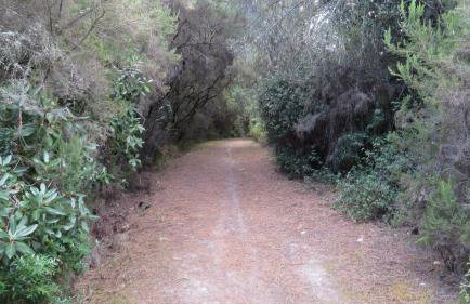 Spacious Villa close to an amazing Sithonia beach - Foto 72