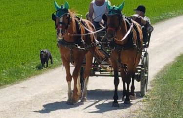 Ferienwohnung - b50233 - Foto 14