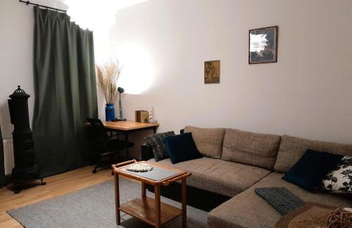 Spacious Home in Old-West - Leutsch - Foto 17