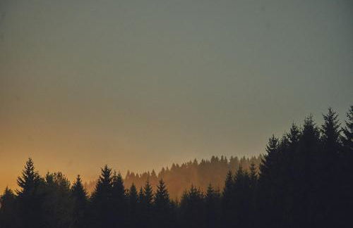 Blickinsfreie - Photo 73