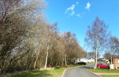 Spencers Retreat at Percy Wood Country Park - Foto 23