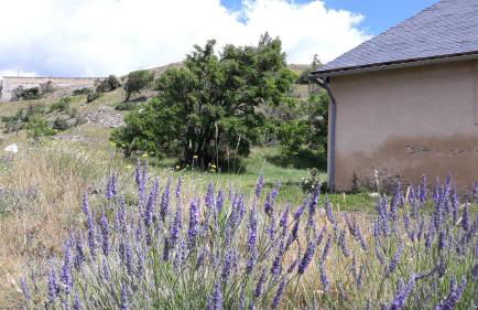 Corps de garde de la Roche - Foto 7