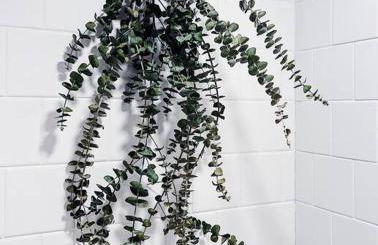 Wildland Loft Serene Mountain Retreat w Fireplace AC Fire Pit Hammock Outdoor Lounge Area Record Player Pets OK - Foto 22