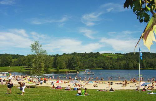 Holiday Home Les Hameaux de Miel-Chalet 4 pers- by Interhome - Foto 5