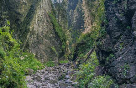 Apartament Nad Tatrzańską Pasieką - Foto 39