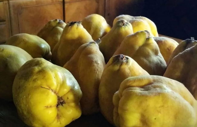 Casa Rural El Camino Real - Foto 14