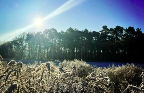 Villa Sophienschlösschen nahe Berlin - Exklusive Zeit zwischen 5 Seen mit großer Küche, gratis Sauna & 3500qm Garten - Foto 50