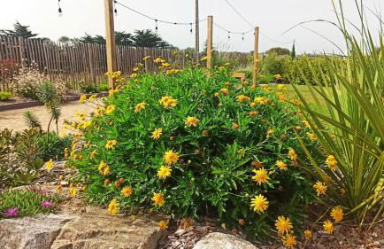 Le Hangar de Moguériec SIBIRIL bord de mer - Foto 37