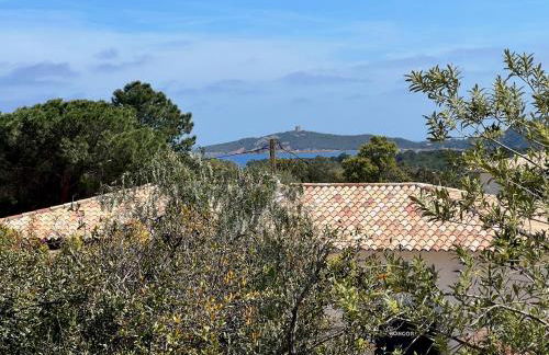 Un petit paradis - Foto 6