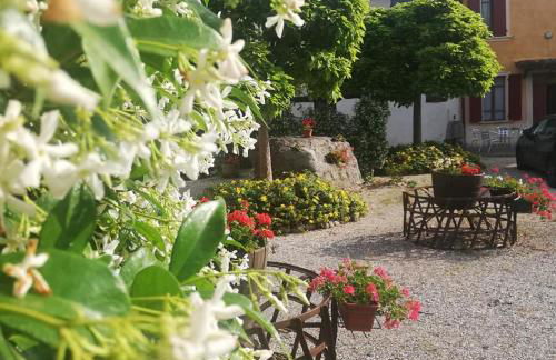 Agriturismo con Cucina tipica Nuova Scardua - Foto 51