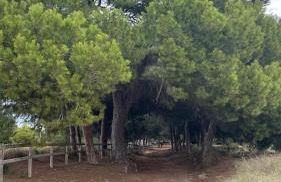 Casa De La Luna Torrevieja - Foto 10