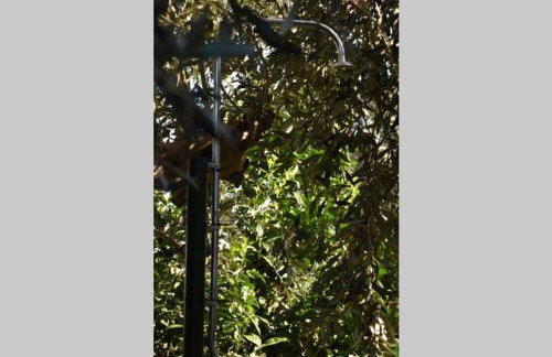 Afissos View - Foto 28