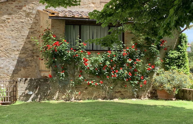 House in Tuscany Near Castello di Montozzi - Foto 25