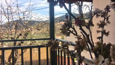 ΕΞΟΧΙΚΟ ΜΑΡΙΑ - Foto 2