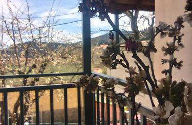 ΕΞΟΧΙΚΟ ΜΑΡΙΑ - Foto 2