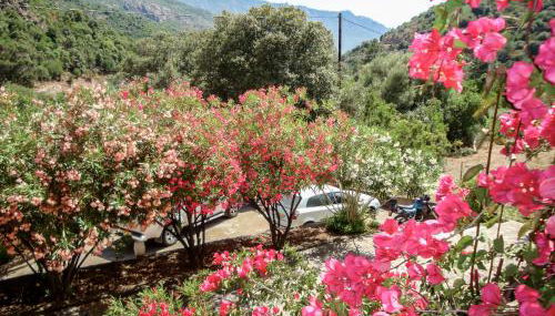 Apartment Residence Cabanaccia 3 Pieces 6 Pers-2 by Interhome - Foto 4