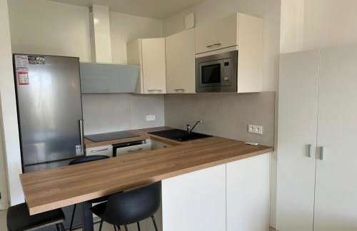 Super Apartment, Parking, Terrace, Lift, WIFI, Palm Beach, Cannes - Photo 7