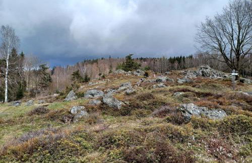 Schones Ferienhaus mit Grossem Garten bei Stadlern - Foto 78