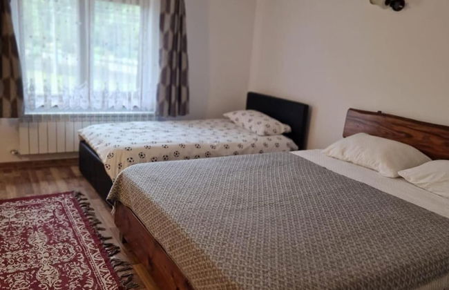 Bucovina-mountainhouse-5br-fireplace-hottub-wifi - Foto 6