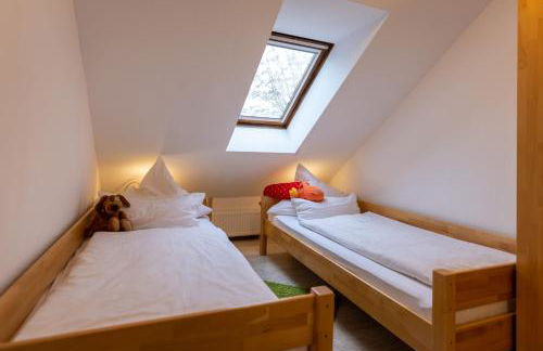 Alpaka - & Ferienhof Neukämper - Foto 12