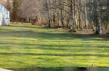 A Relaxing Getaway-A Backwoods Cabin SolDuc River - Foto 10