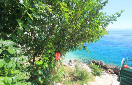 Alexandra Studio in Katavolos - Foto 30