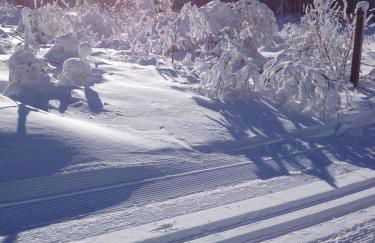 Haus Schnurbus - Foto 39