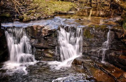 Bracken Cottage - Photo 33