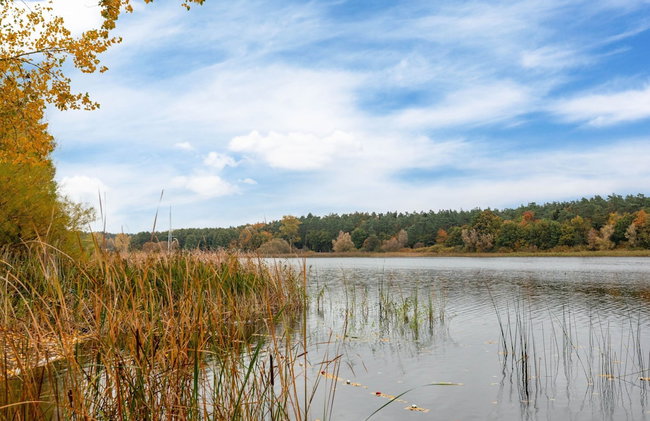 Gemutlicher Bungalow mit Garten in Nakenstorf - Foto 53