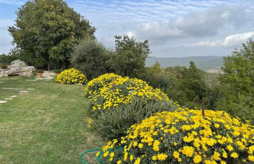 Il Nido del Falco nelle Antiche Mura - Foto 74