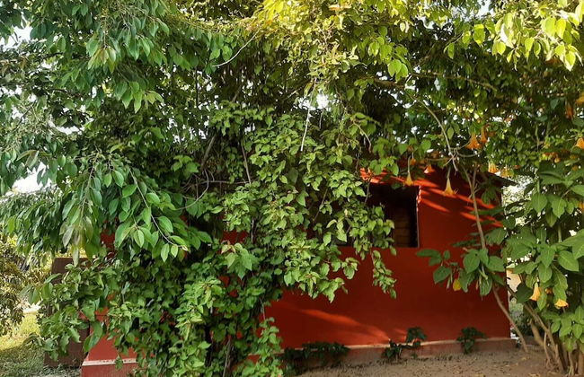 Casa di Campagna Dal Pozzo - Foto 67