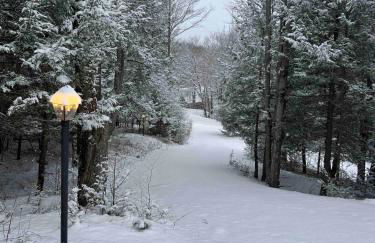 Mountain View Chalet Ski, Hot Tub, Firepit, Games - Foto 45