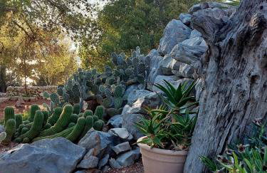 Vacation house Punta sunca - Foto 38