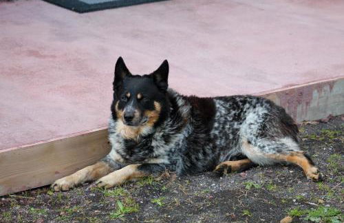 Quinta do Almanac - Photo 18