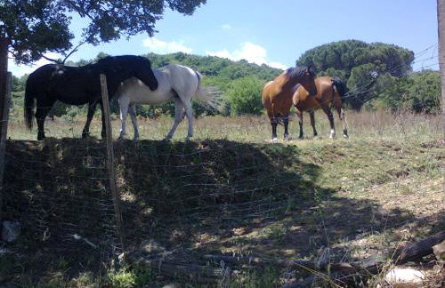 Agriturismo San Pietro - Foto 135