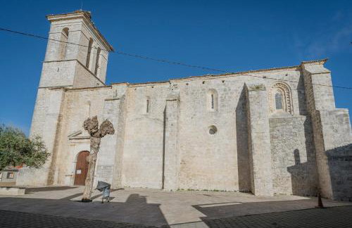 Ribera del Duero - Foto 38