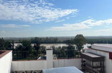 ESTUDIO LAS PALMILLAS - Foto 11