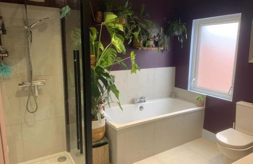 3 bedroom house- East Belfast - Foto 23