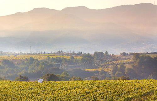 Masia Can Canyes & Spa - Photo 36