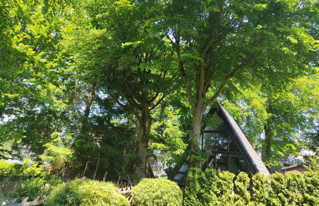 Hexenhaus im Harz - Foto 23