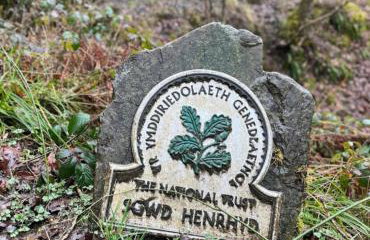 Herbert Place - Foto 64