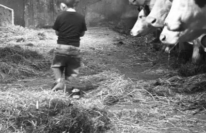 Pension Huber - Foto 20