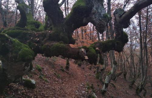 Dúplex con piscina climatizada y sauna, El último rincón - Foto 45