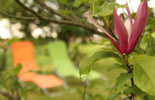 Apartments Strmac - Foto 59