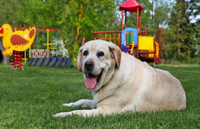Ferienhauser am Kummerower See, Verchen - Foto 12