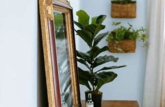 The Congaree Cottage - Foto 16