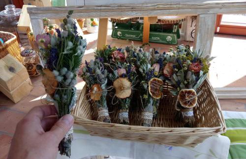 sosnowelowe - Foto 69