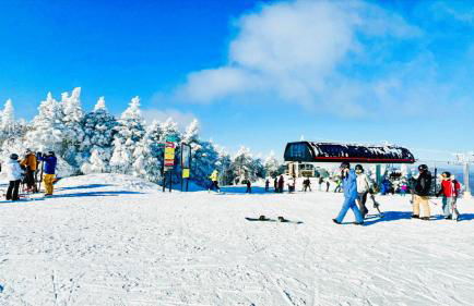 Stratton Ski Haus AFrame Hot Tub Sauna EV Okemo - Foto 31